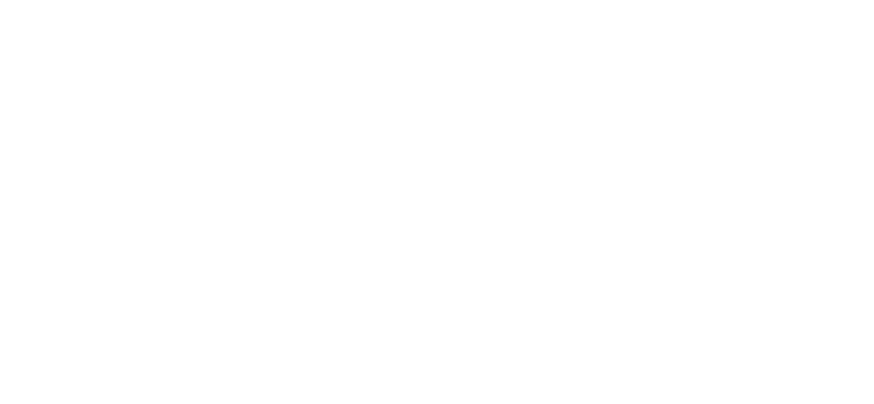 Campaigns & Elections Logo White Campaigns & Elections Logo White